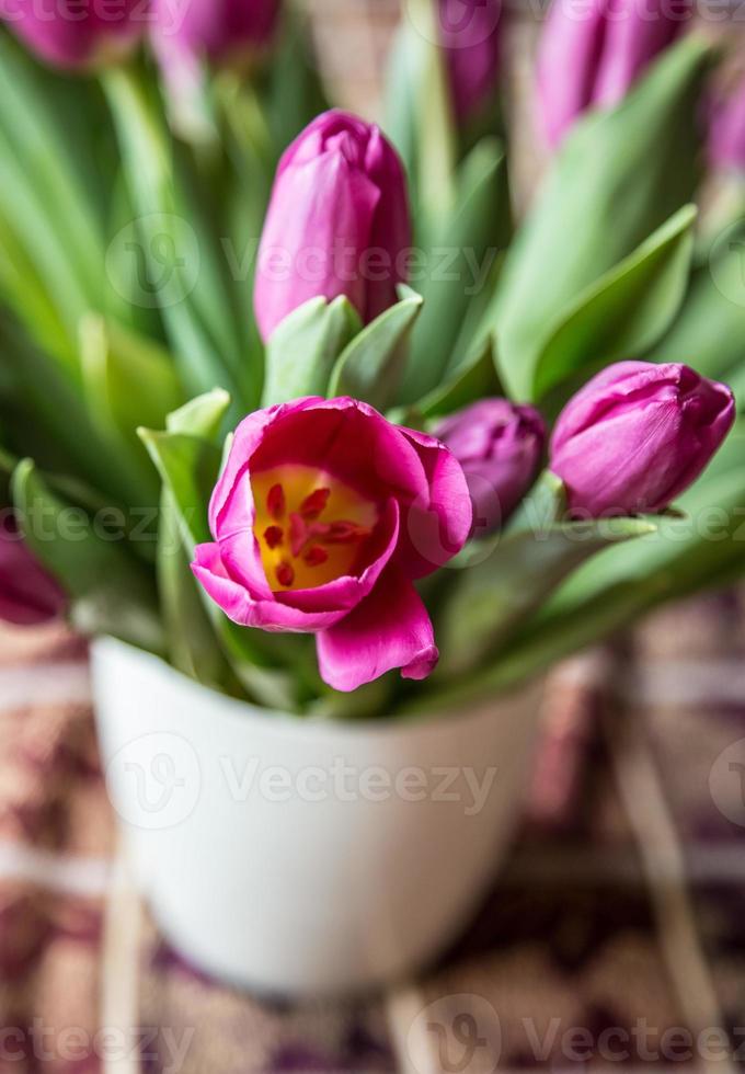 tulipanes rosados en florero blanco foto