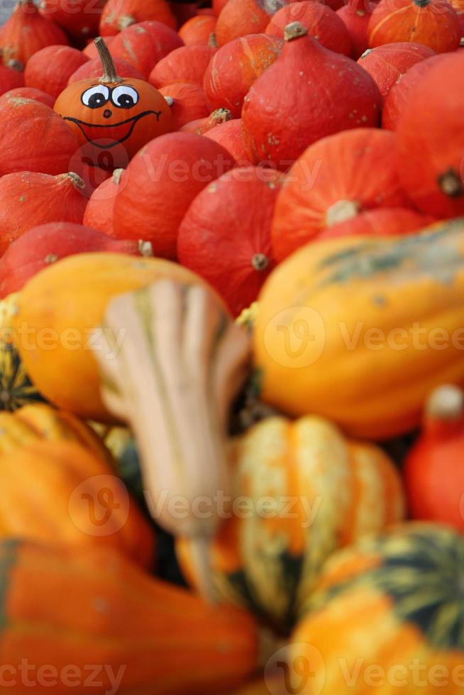 calabaza de halloween con gran grupo de calabazas foto