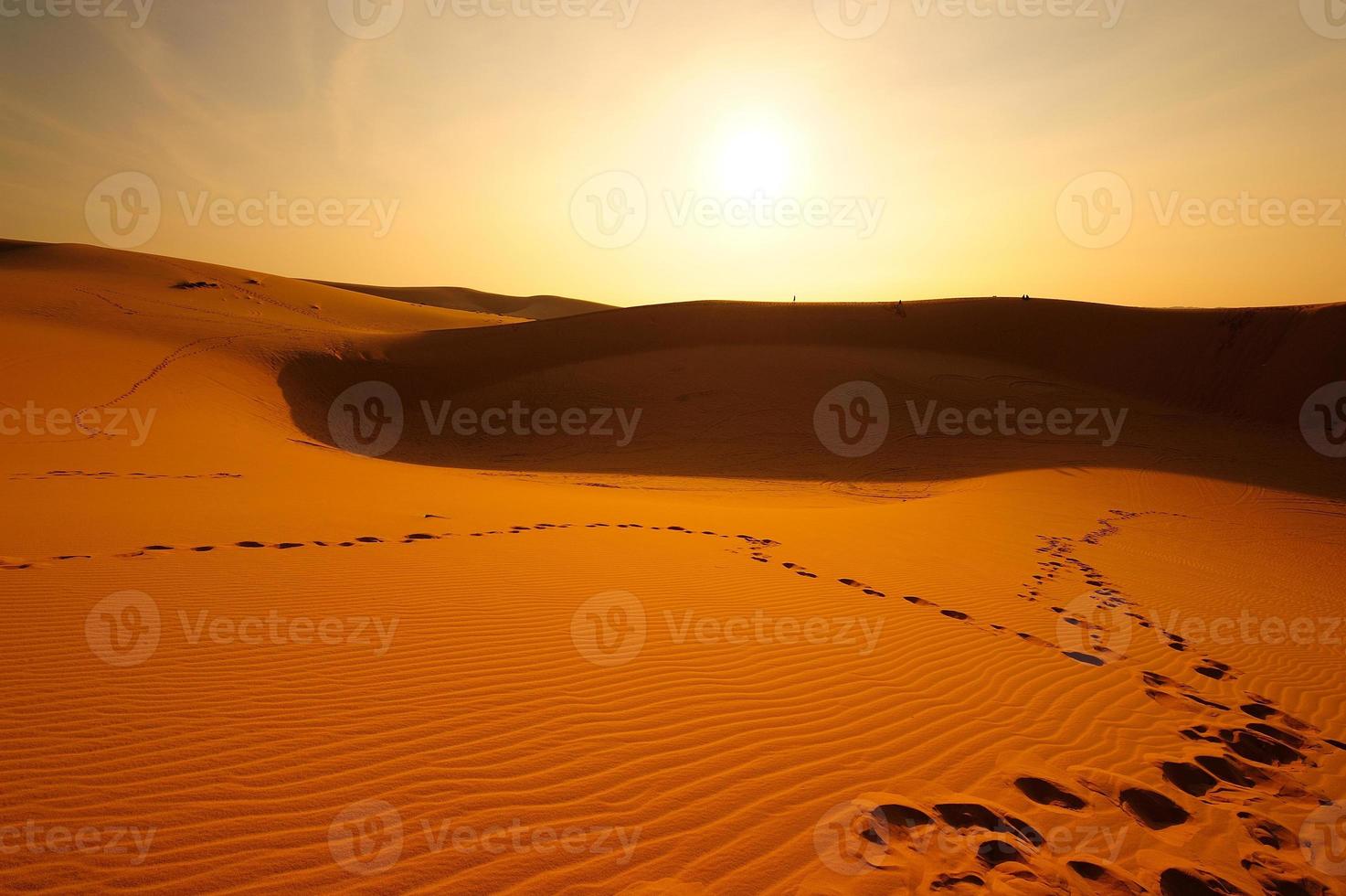 paisaje de desiertos y dunas de arena foto