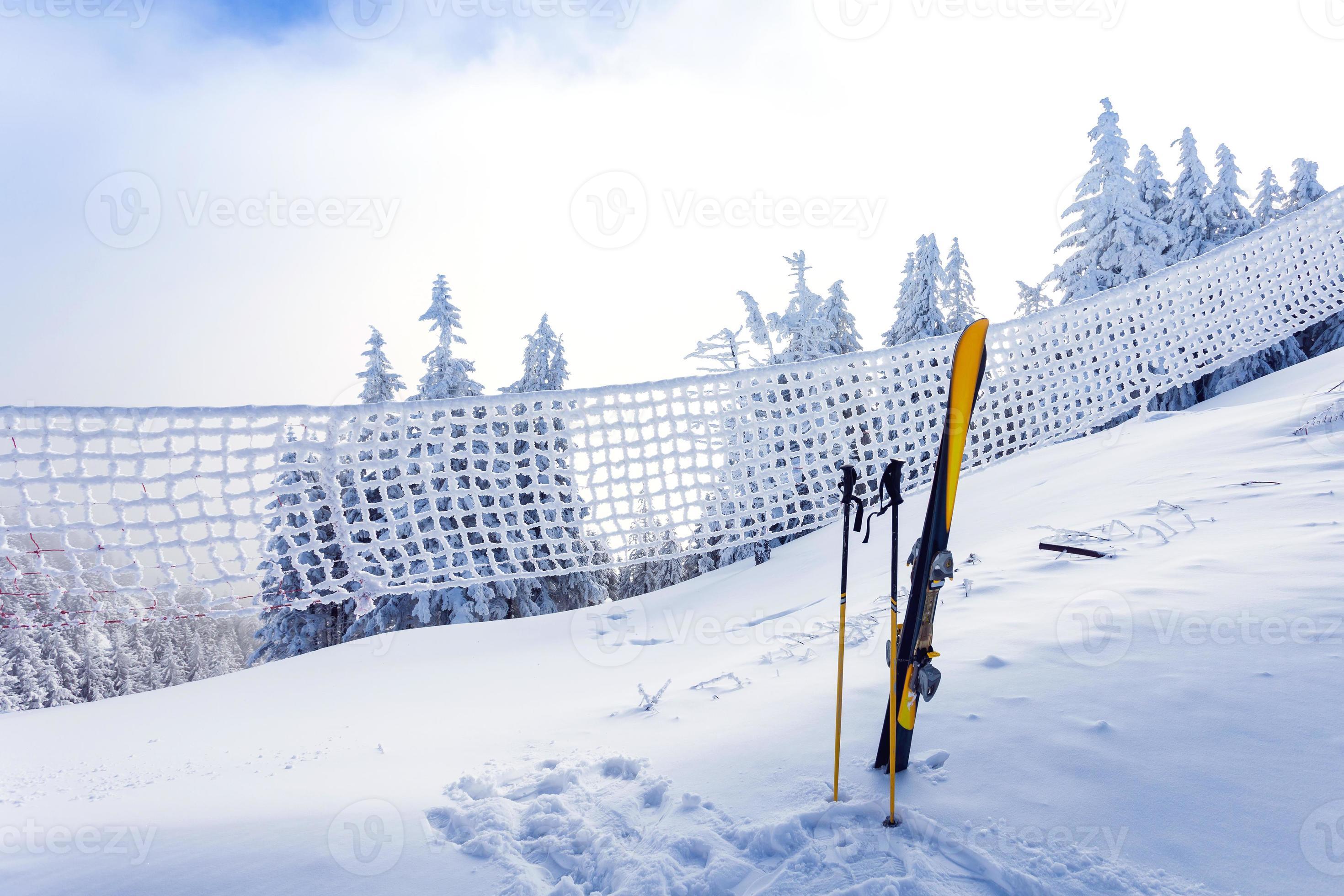 equipo de esquí en pista de esquí con bosque de pinos cubierto de nieve foto