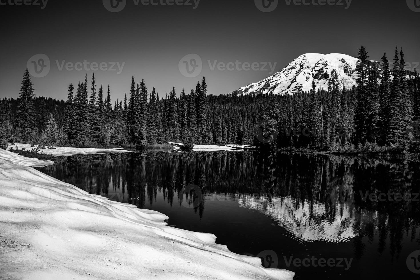 Mt Rainier Reflection in Black and White photo