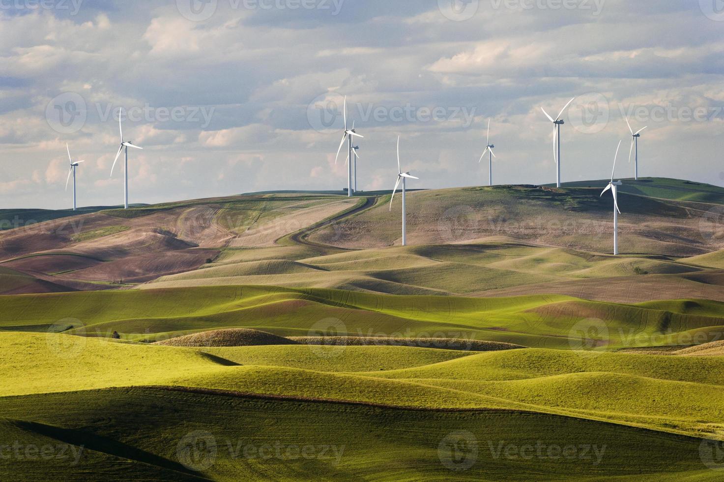 Steptoe Butte Wind Turbines photo