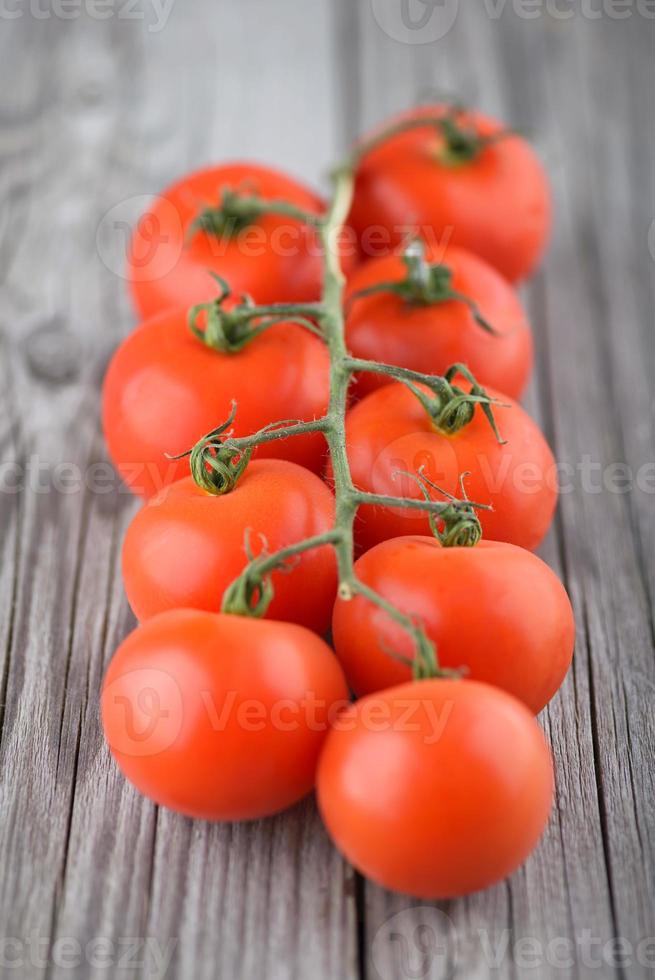 tomates foto