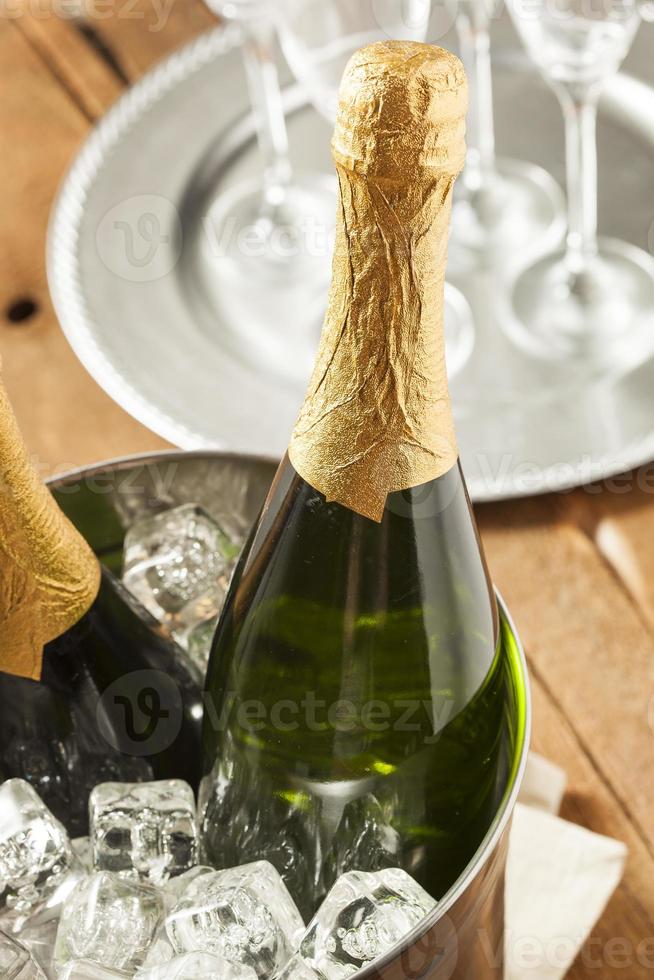 Bubbling Champagne in a Glass photo