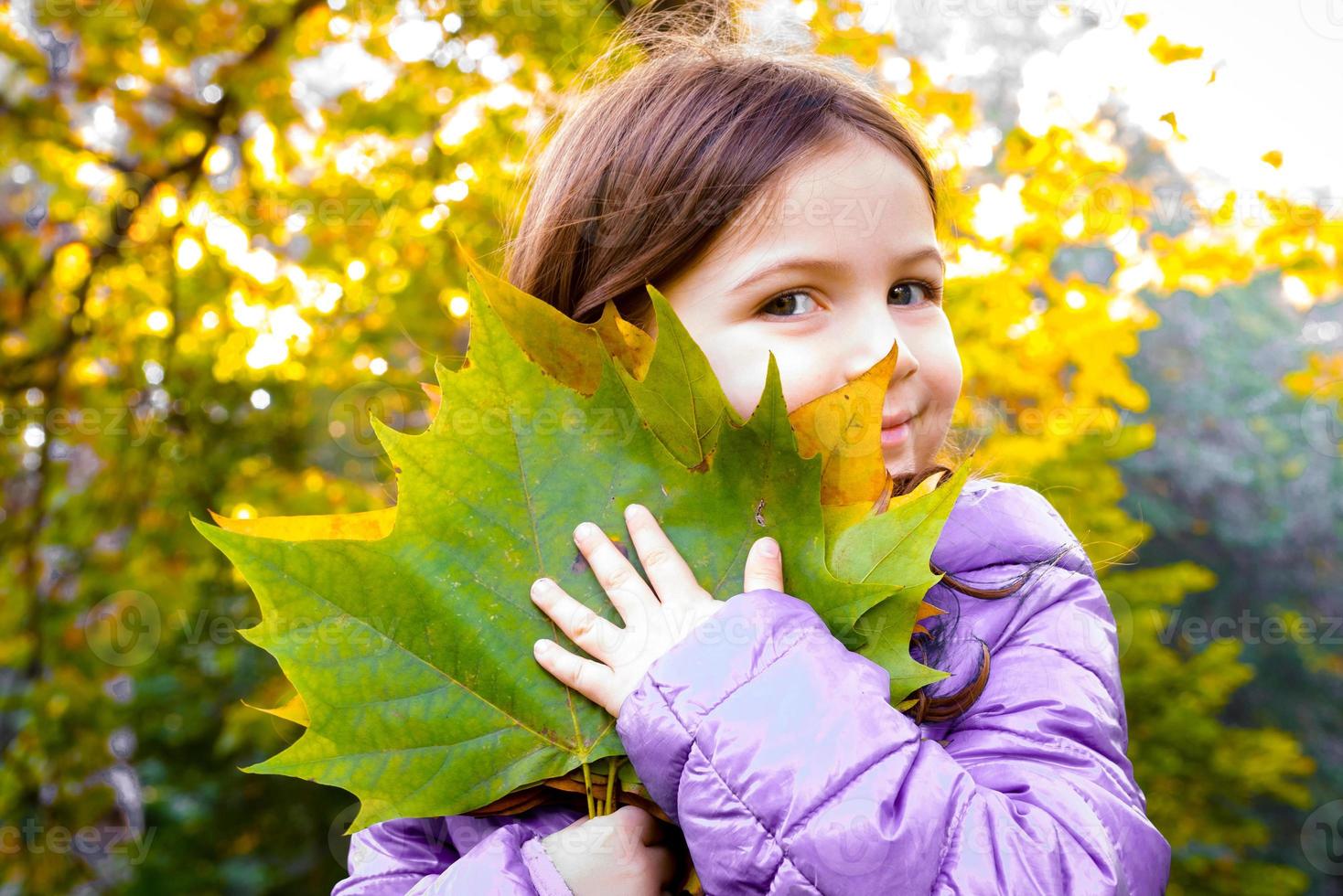 Child Peaking Behing Fallen Autumn Leaves photo