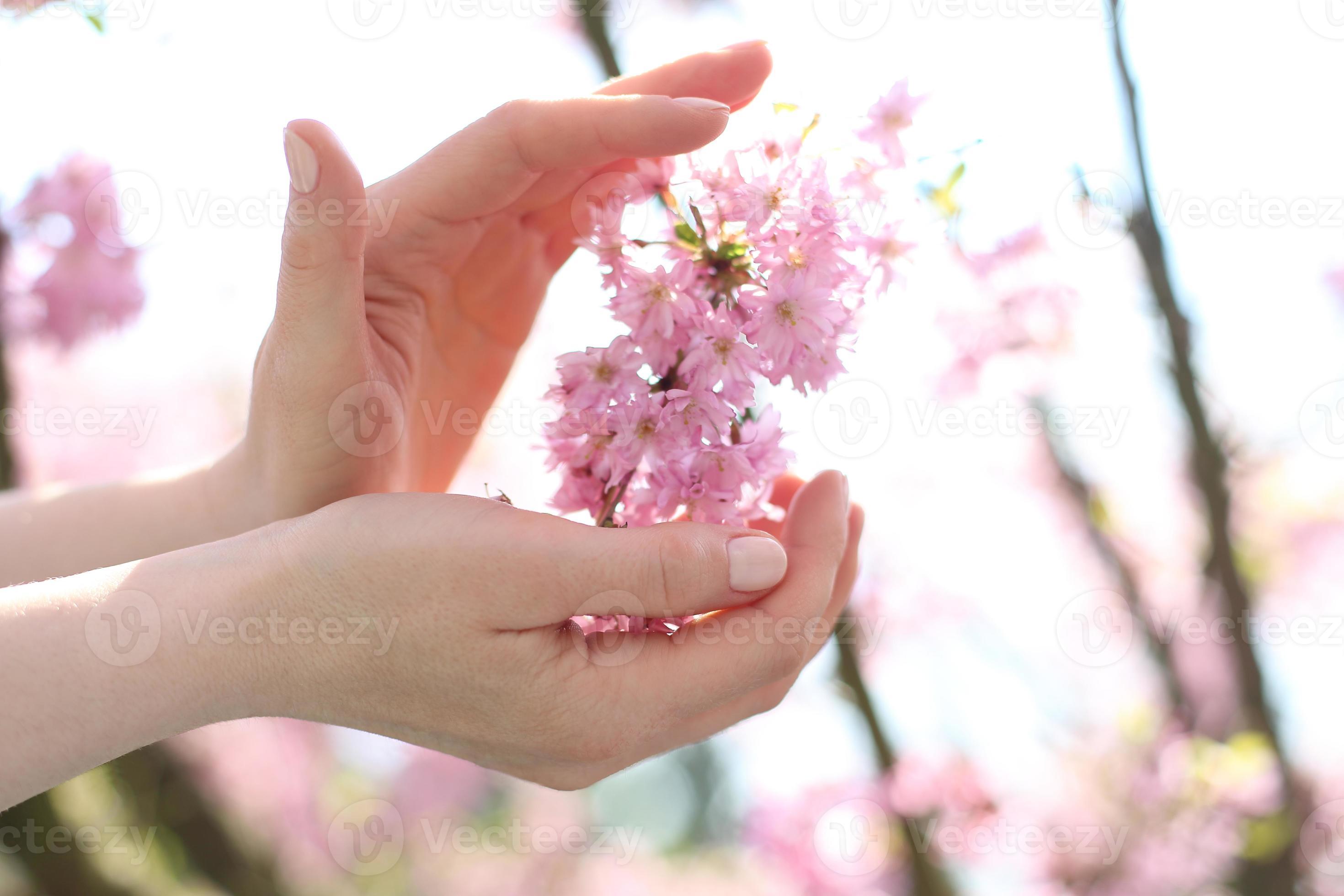 нежные женские руки. рука с цветами. руки с весенними цветами. рука весны. рука весны.