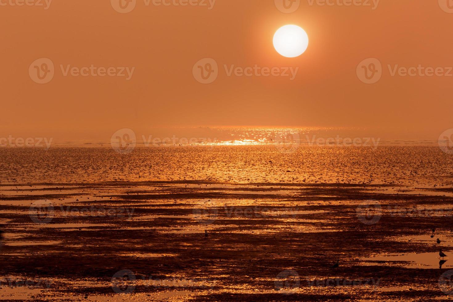 puesta de sol en la costa foto
