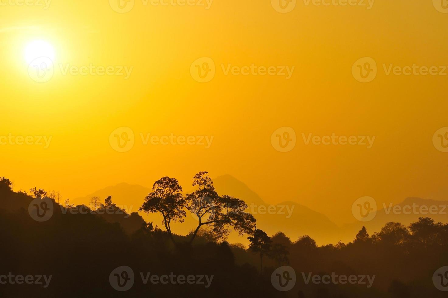 Sunset in steppe photo