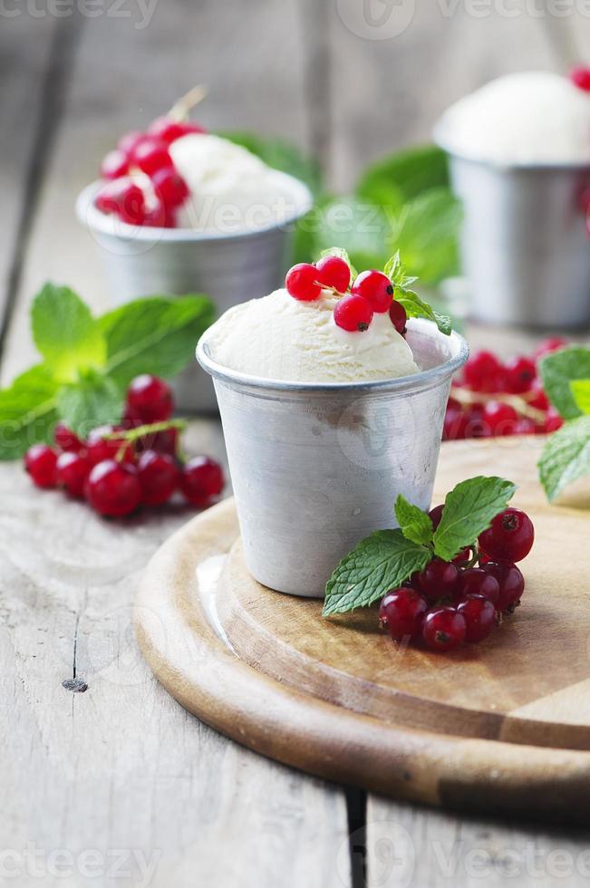 Delicious ice cream with berry and mint photo