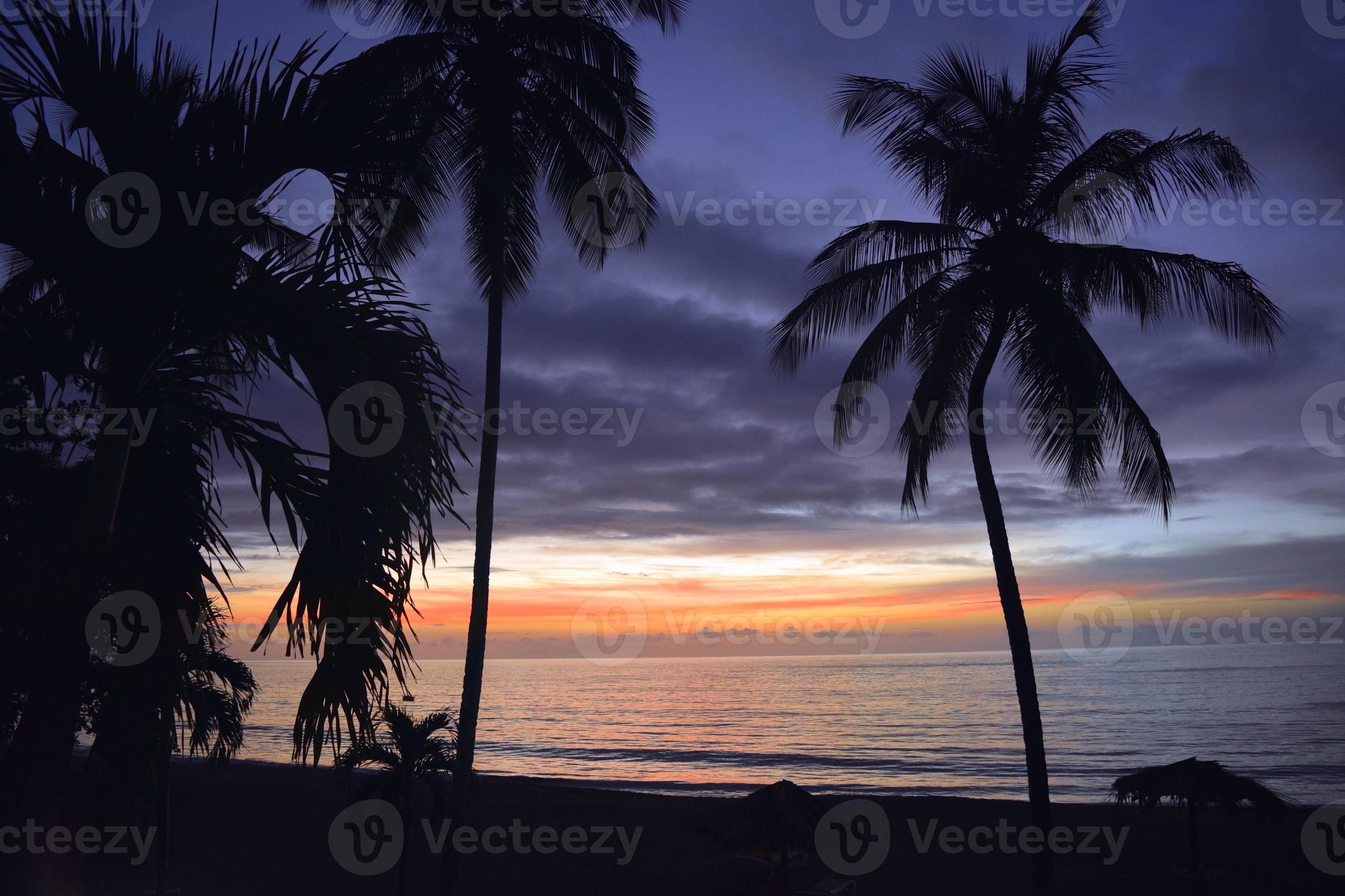 puesta de sol tropical foto