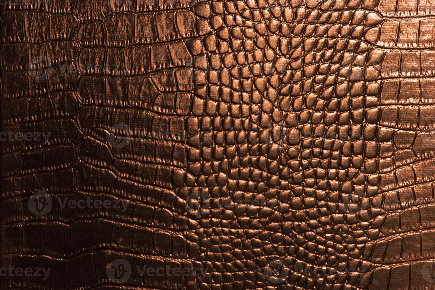 crocodile leather texture 761069 Stock Photo at Vecteezy