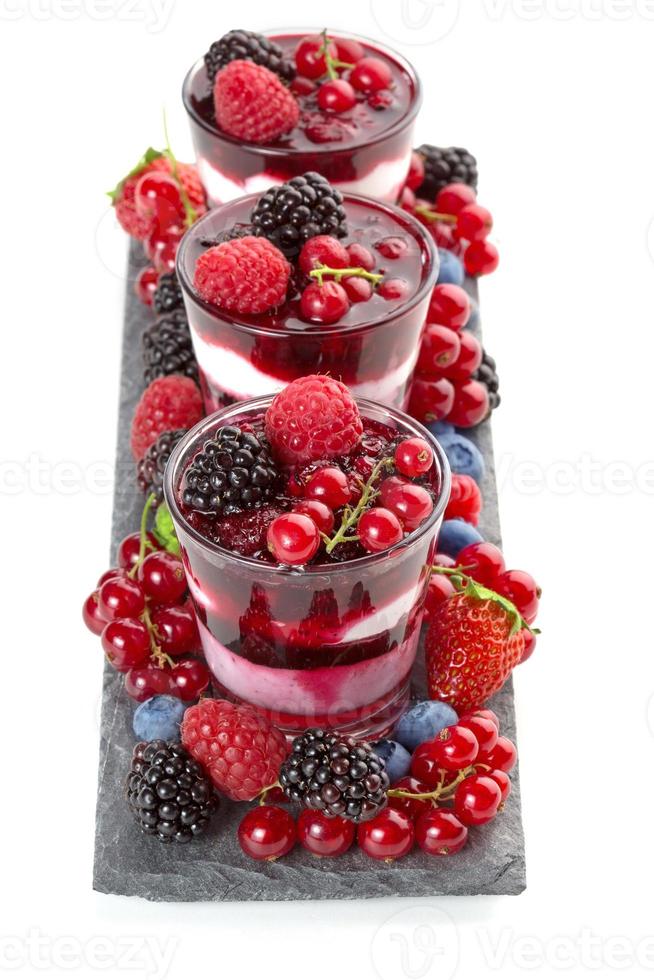 frozen dessert with berries photo