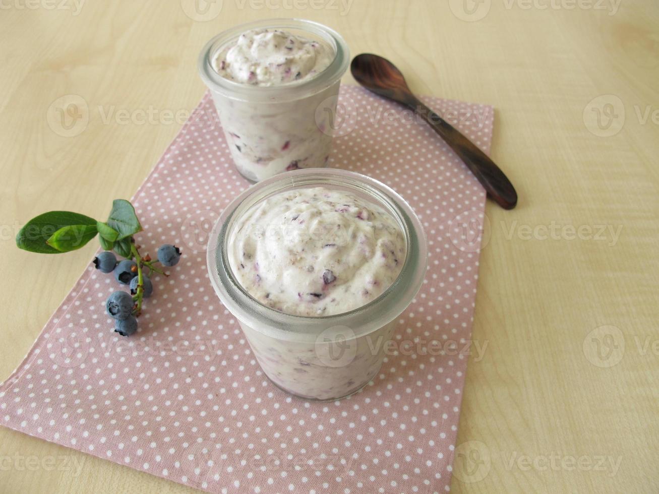 Frozen yogurt ice cream with blueberries photo