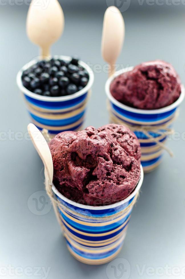 Bilberry Ice-cream photo