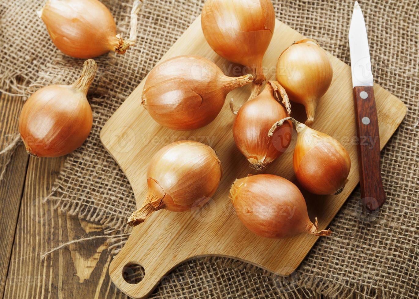 Onions photo