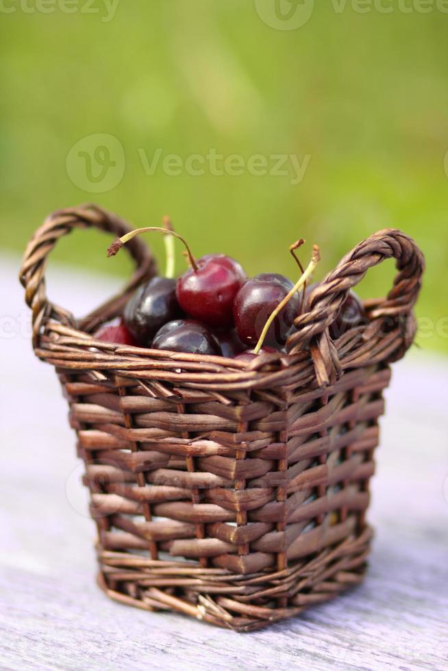 basket with picked cherries photo