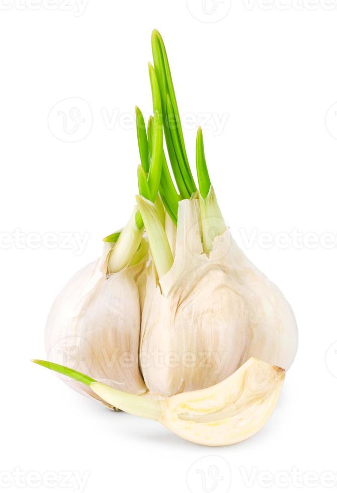 garlic with leaf 772437 Stock Photo at Vecteezy