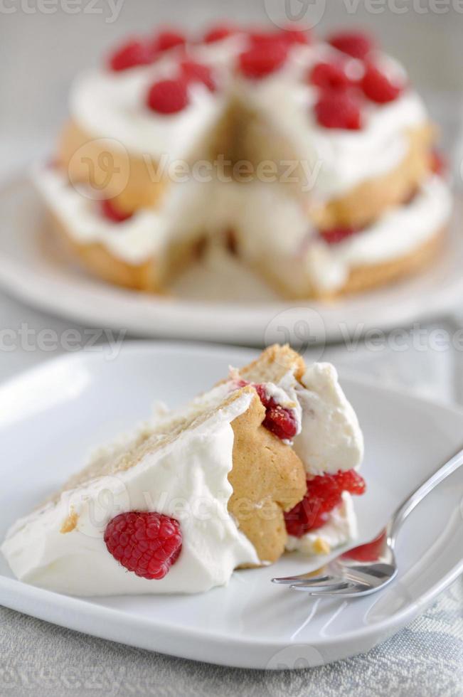 Raspberry Cake photo