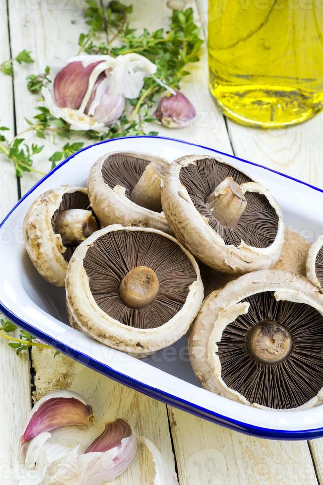 Flat mushrooms photo