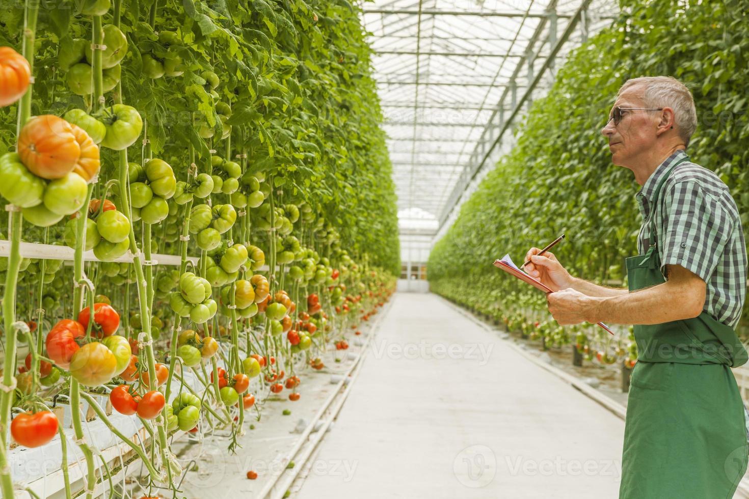 Greenhouse technology photo