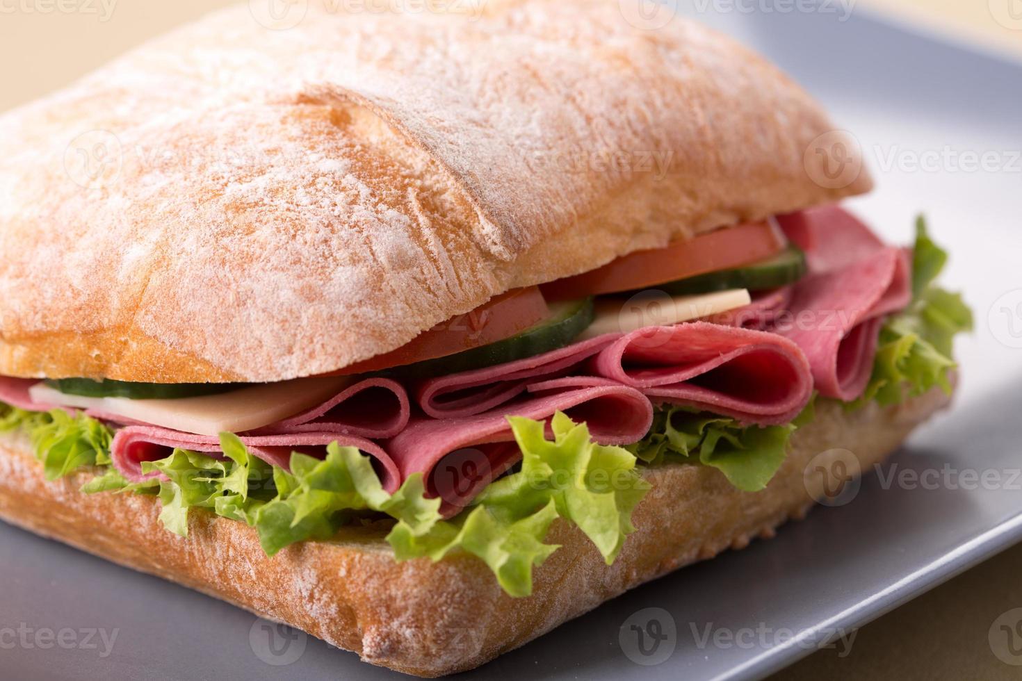 sub sandwich foto