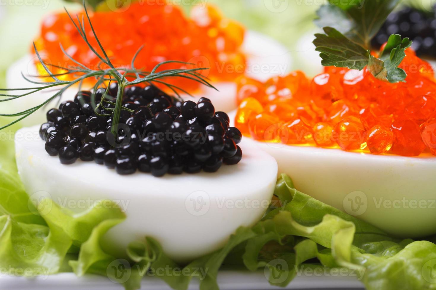 eggs with black and red fish caviar and lettuce macro photo