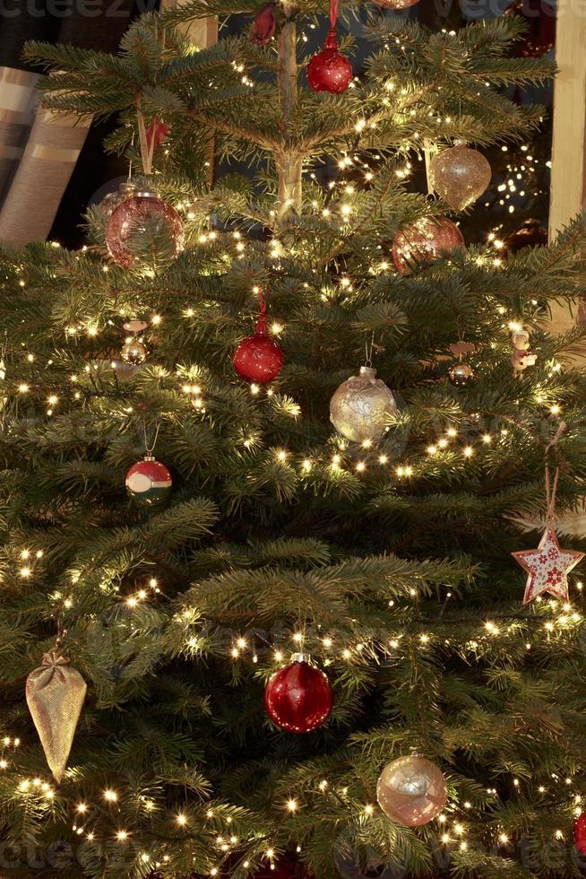 árbol de Navidad foto