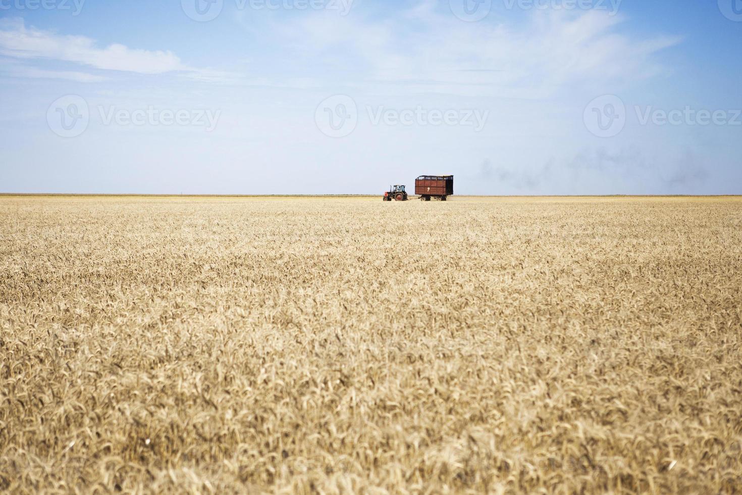 tractor foto