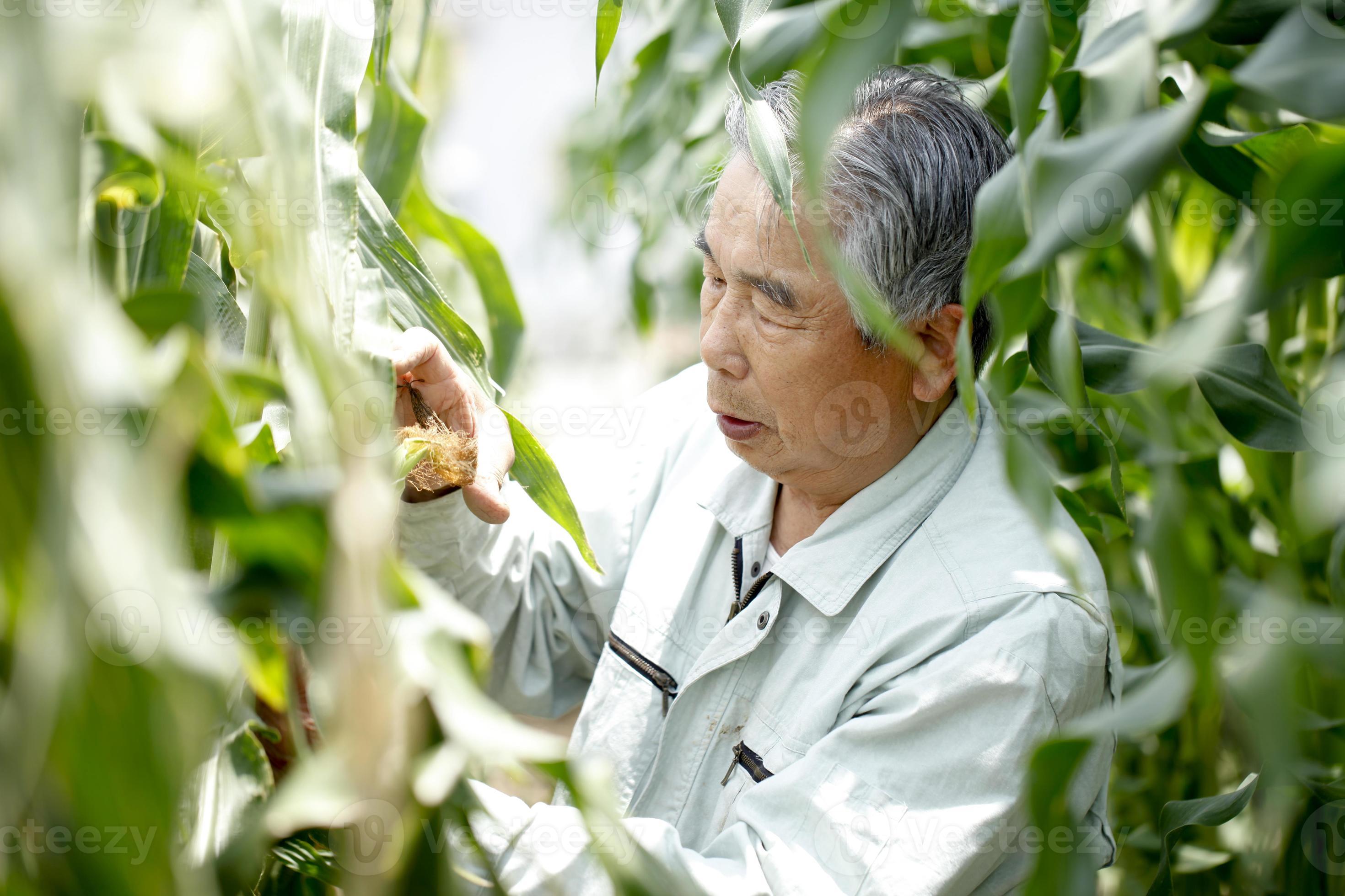 Agricultural research journal