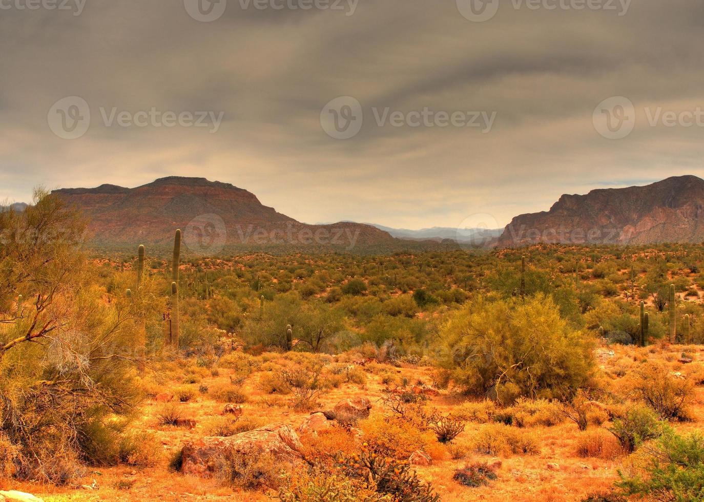 Desert Storm Approaching photo