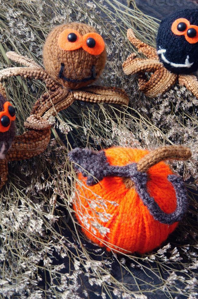 Halloween background, handmade, pumpkin, spider, october photo