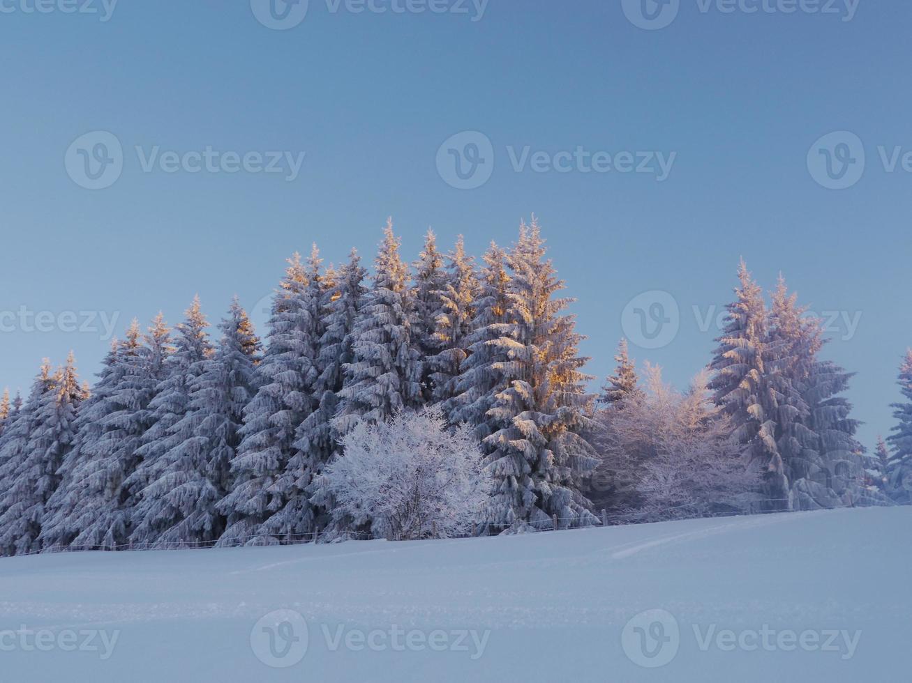 paisaje de nieve invierno foto