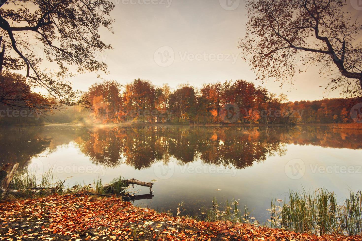 Autumn Lake. photo