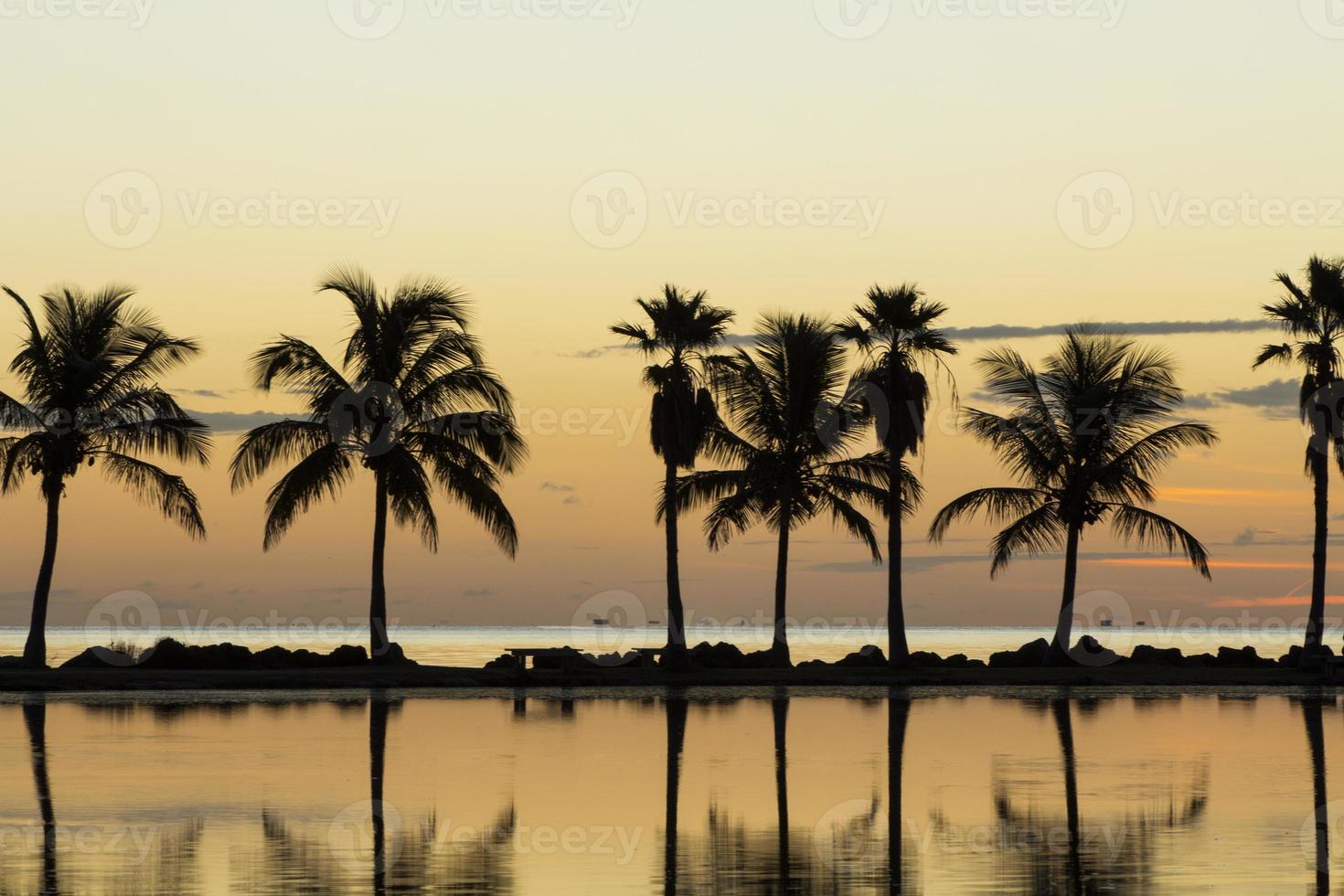 Sunrise in Miami photo