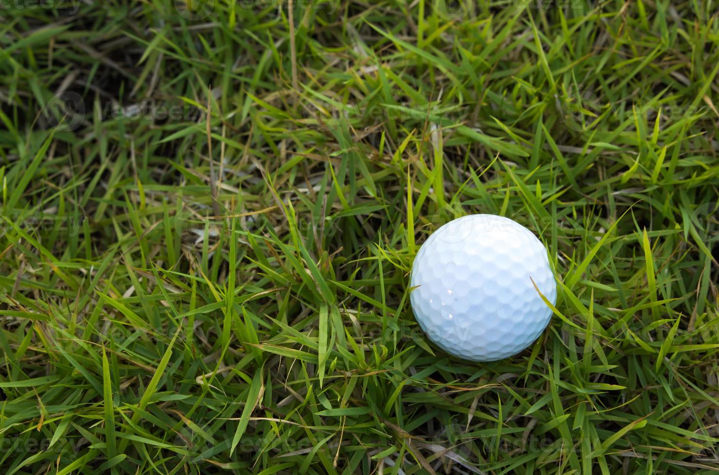 Golf ball on green grass background photo