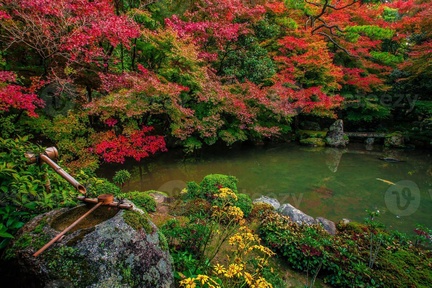 jardín japonés en otoño foto
