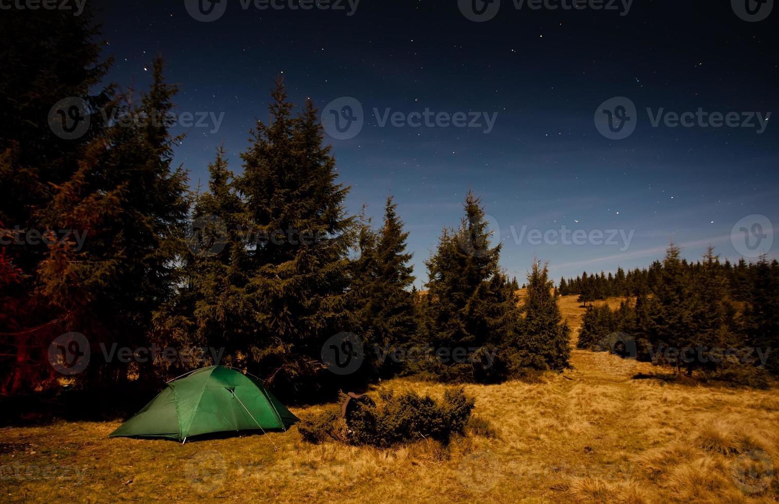 Tent illuminated with light in night forest photo