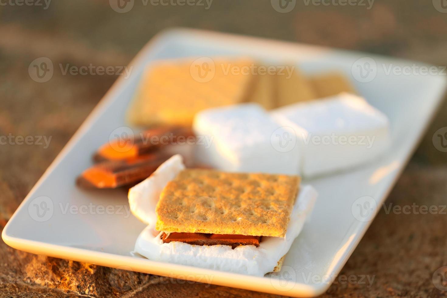 smores and its ingredients photo