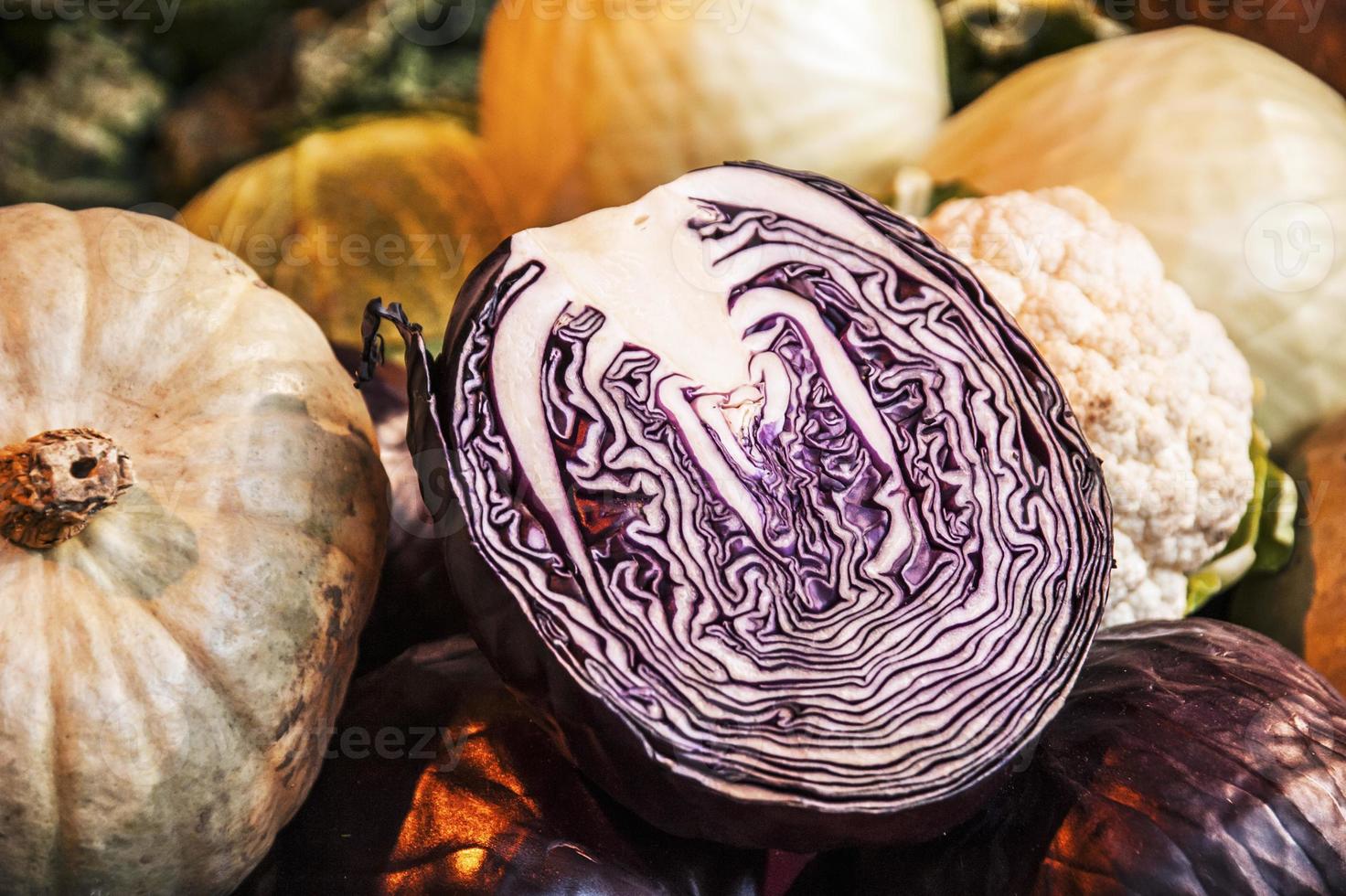Red Cabbage and Vegetables photo