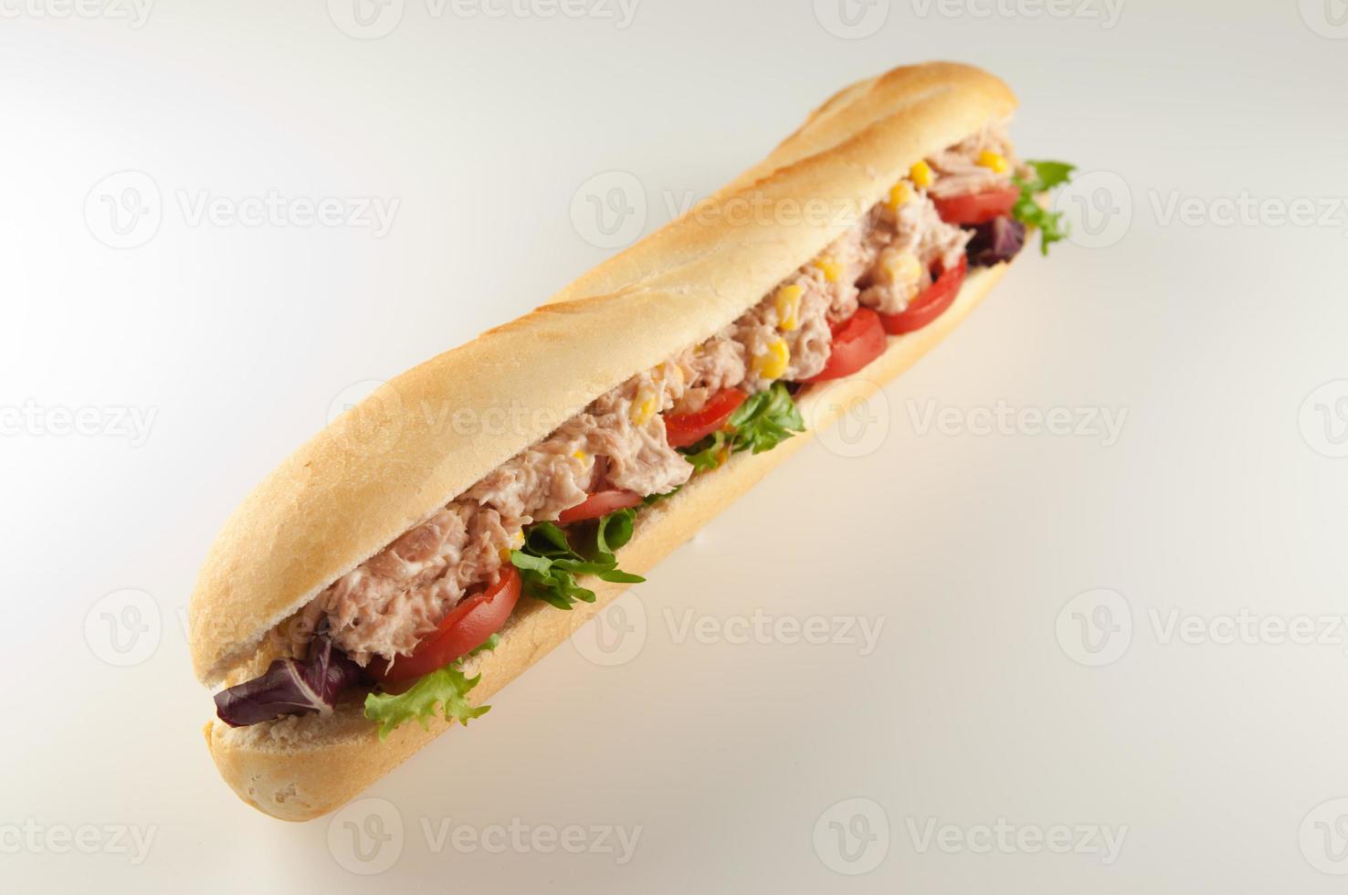 Tuna Baguette 809555 Stock Photo at Vecteezy
