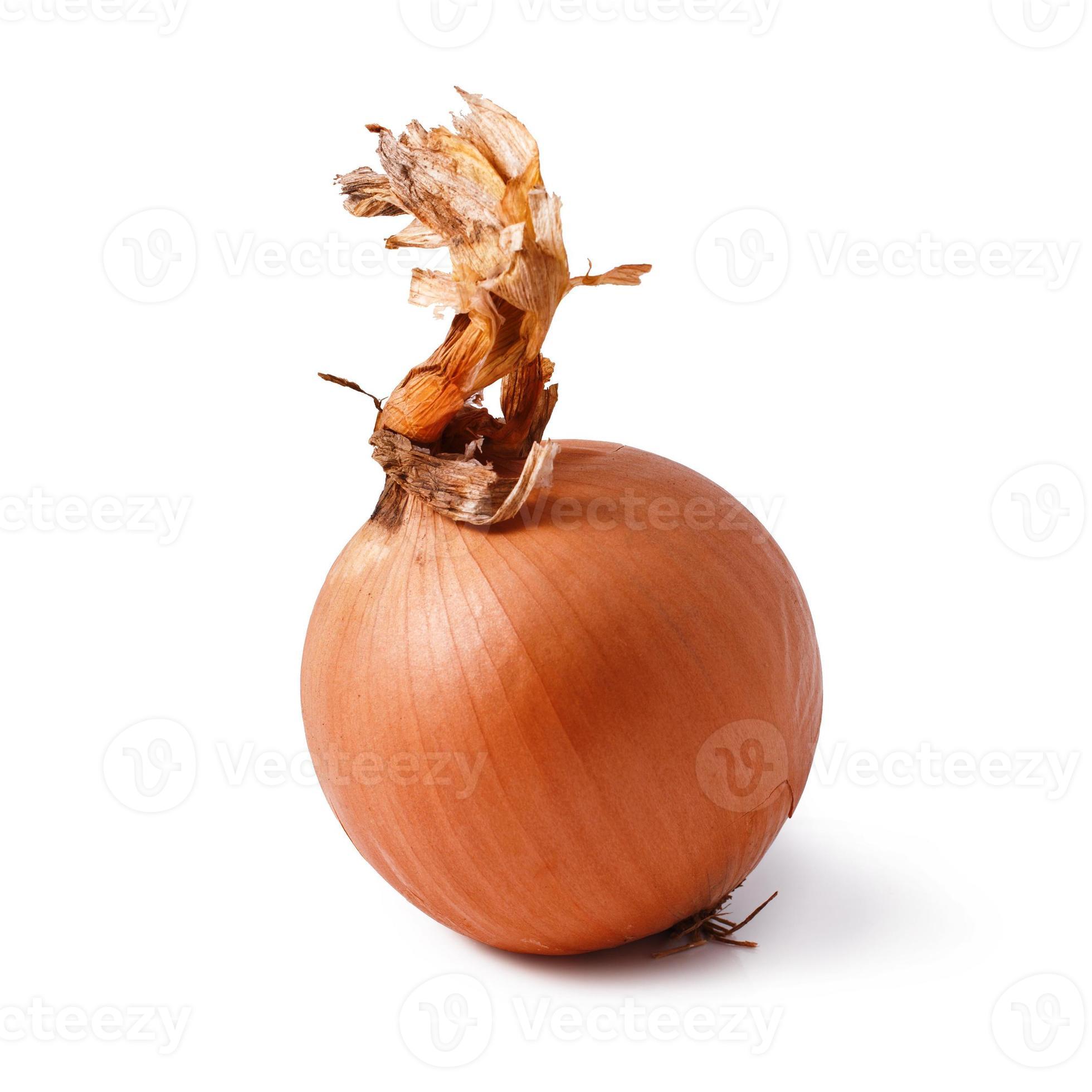 onion 810098 Stock Photo at Vecteezy