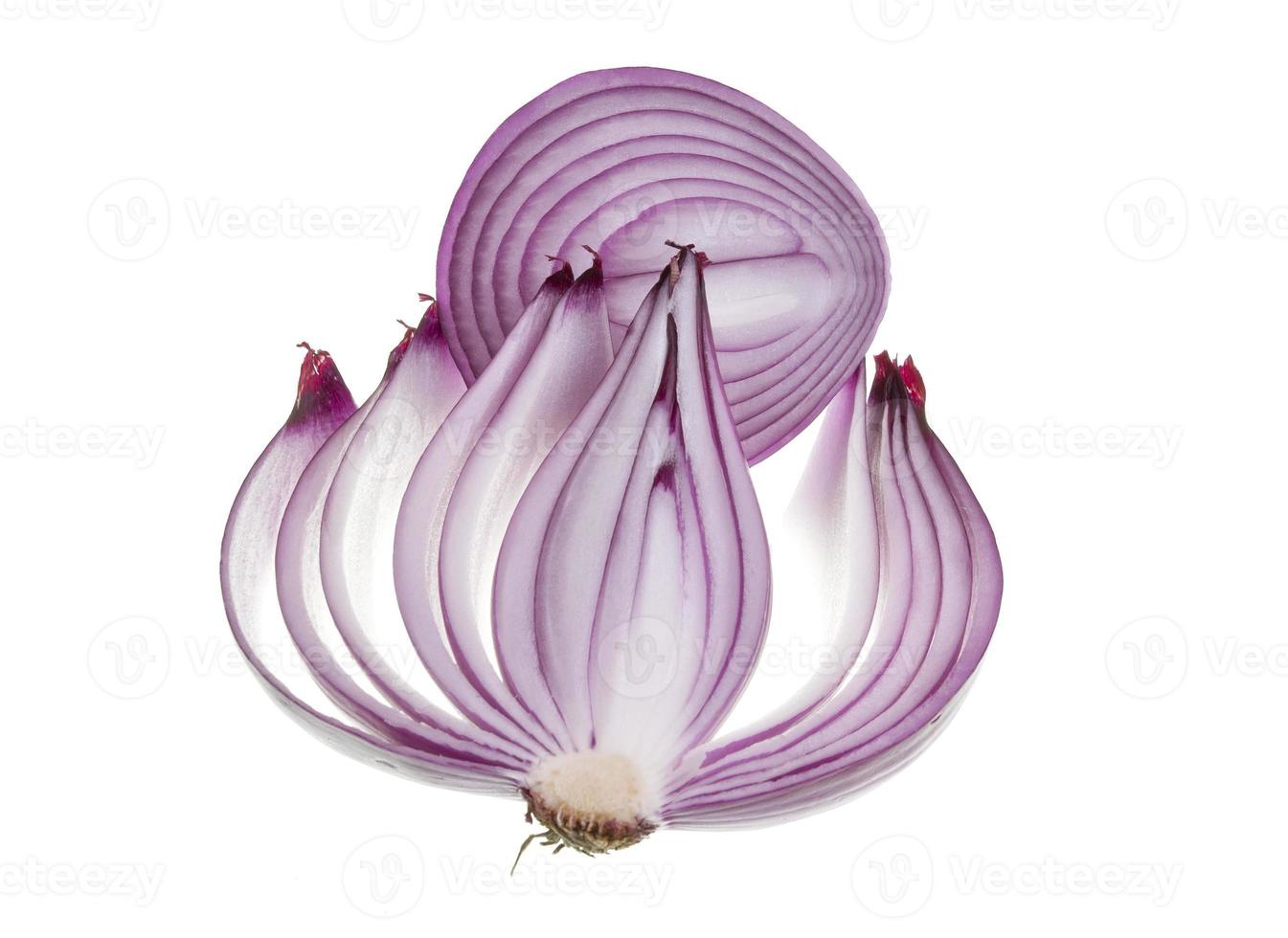 Red Onion photo