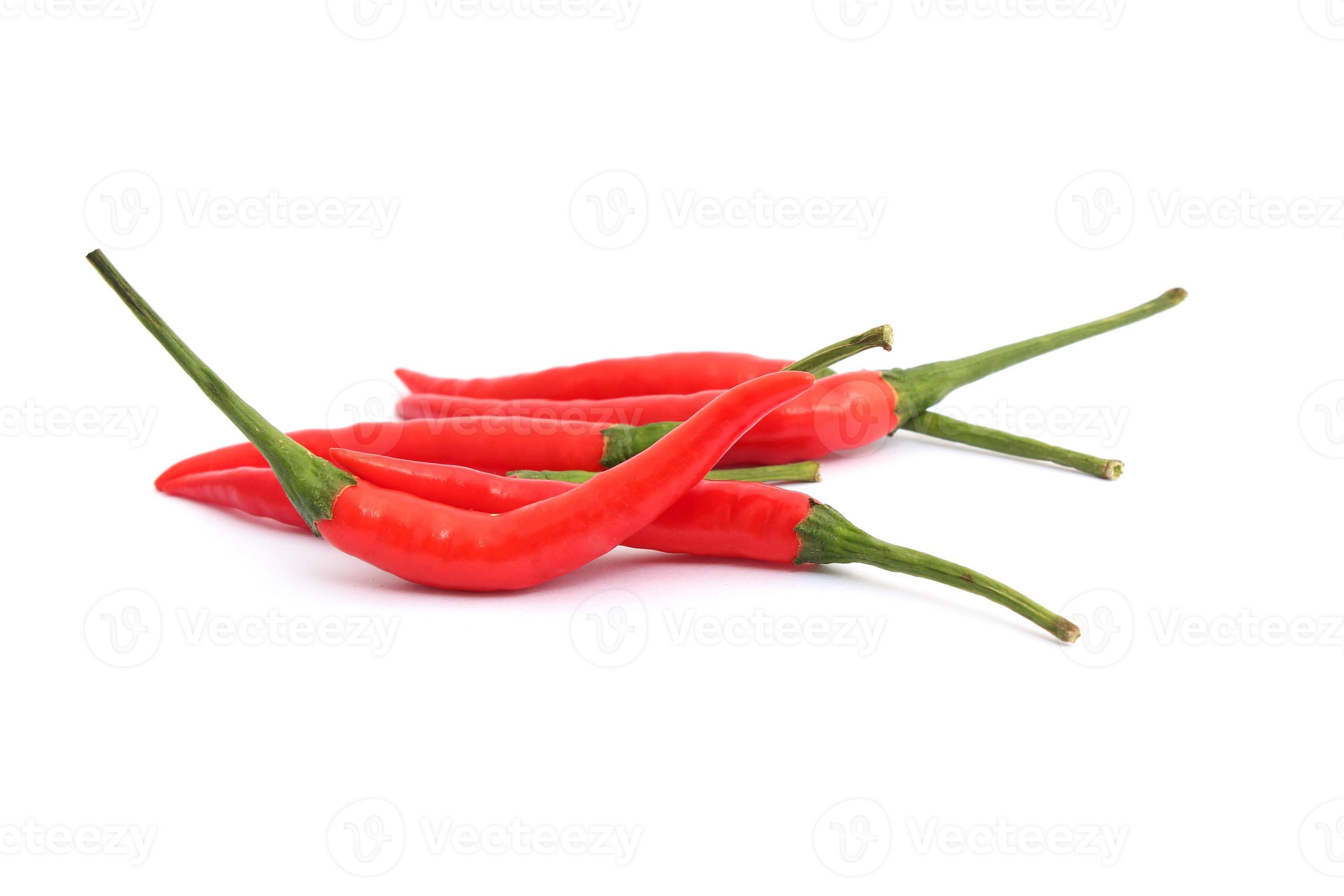 red chili pepper on white background photo