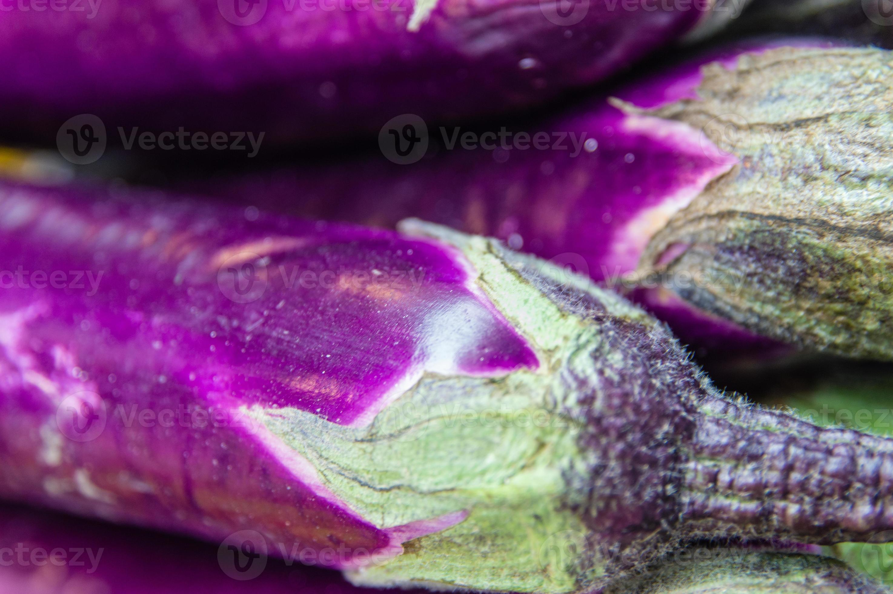 japanese eggplant 810892 Stock Photo at Vecteezy