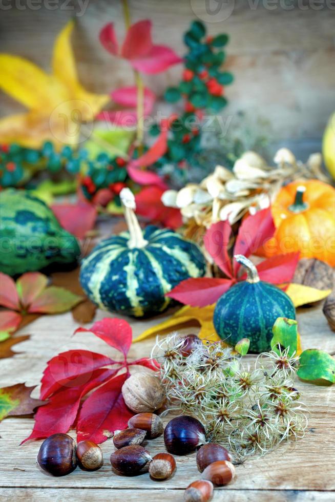 Autumn decoration photo