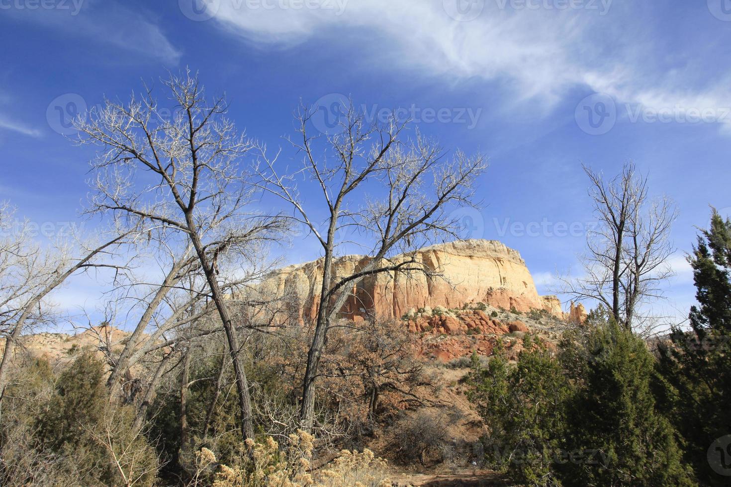 New Mexico mesa and trees photo
