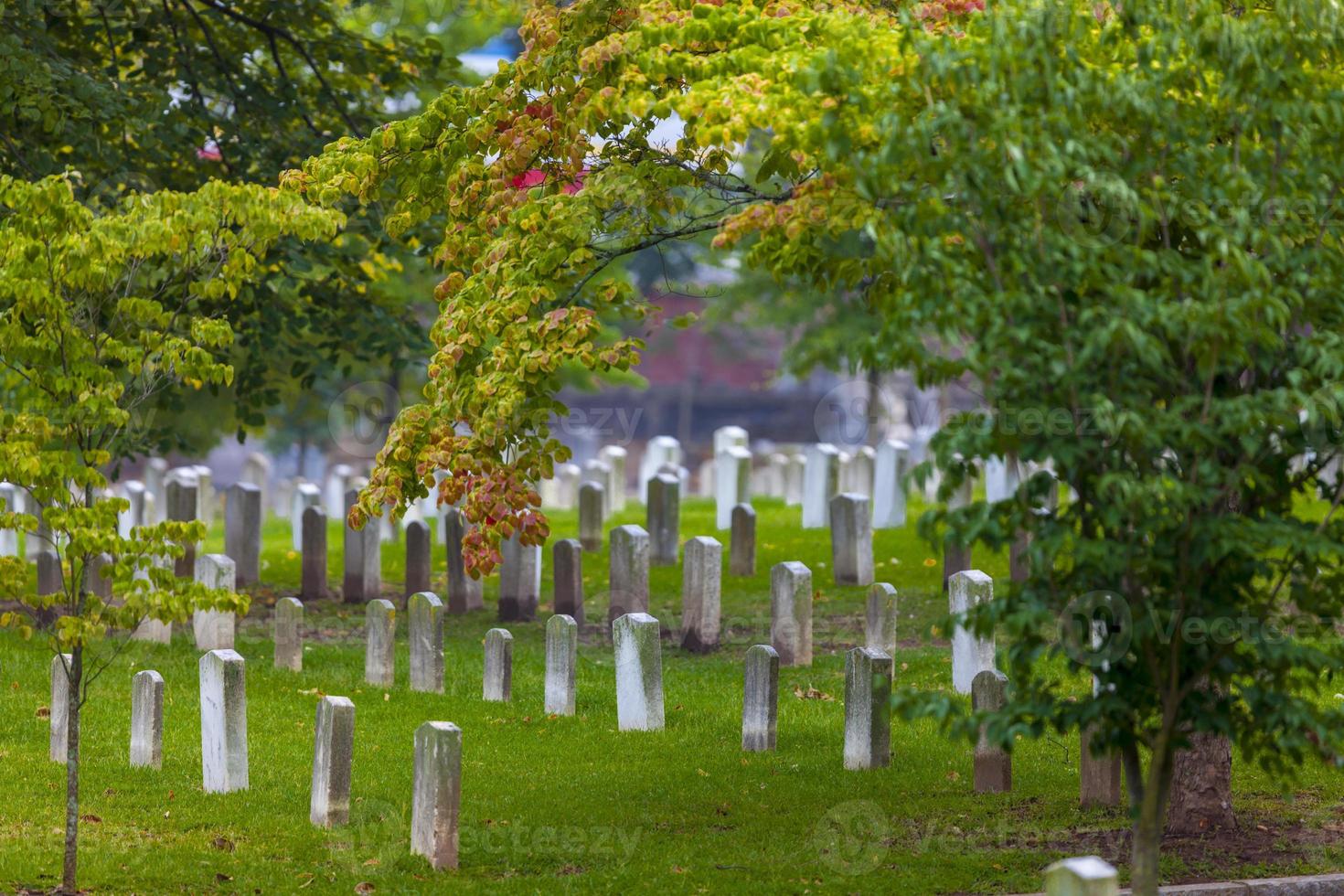 Confederate Cemetery photo