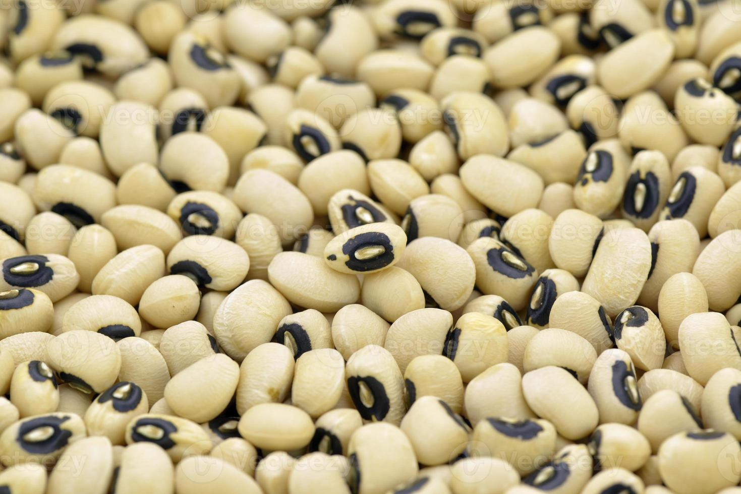 Haricot bean 819218 Stock Photo at Vecteezy