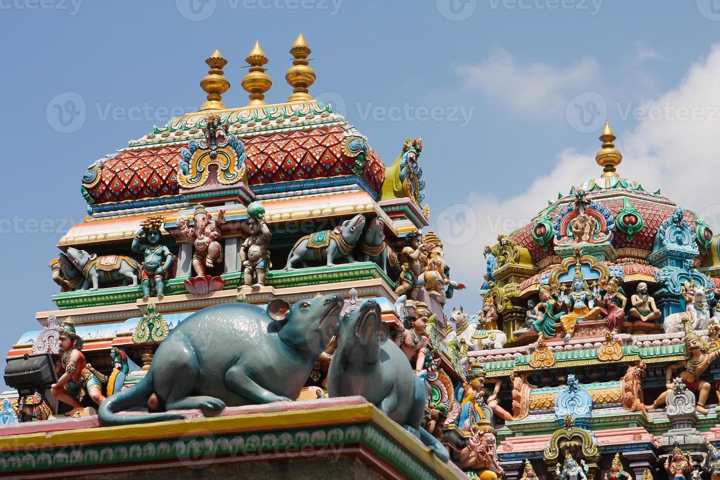 Templo Kapaleeshwarar foto