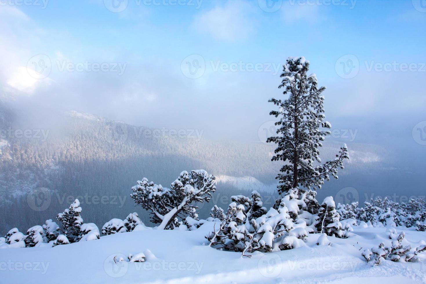 escena de invierno en las montañas foto